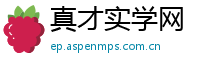 真才实学网